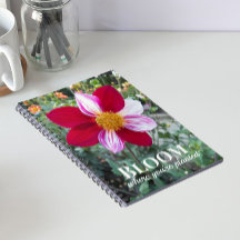 Blommar Där Du Är Planterad Citat Blommor