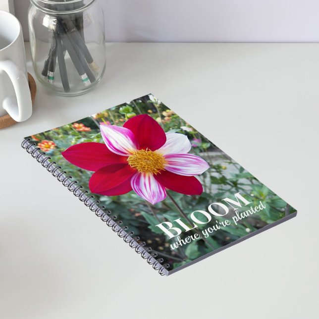 Blommar Där Du Är Planterad Citat Blommor Anteckningsbok (In Situ)