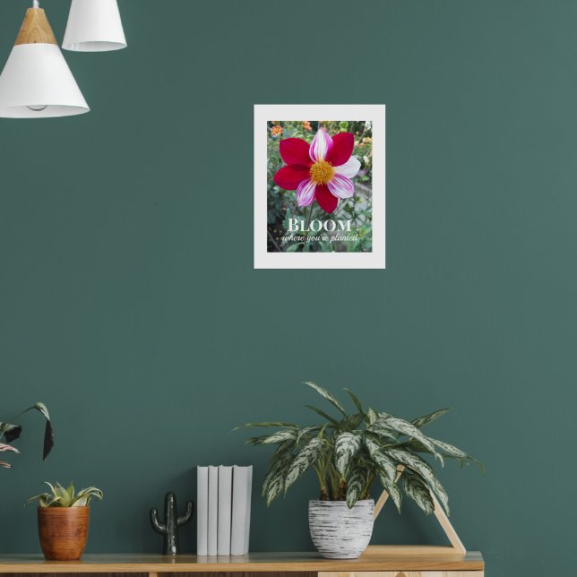Blommar där du är planterad Citat Blommor Poster (Vardagsrum 1)