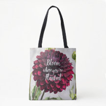 Blommar Där Du Är Planterad Citat Röd Dahlia