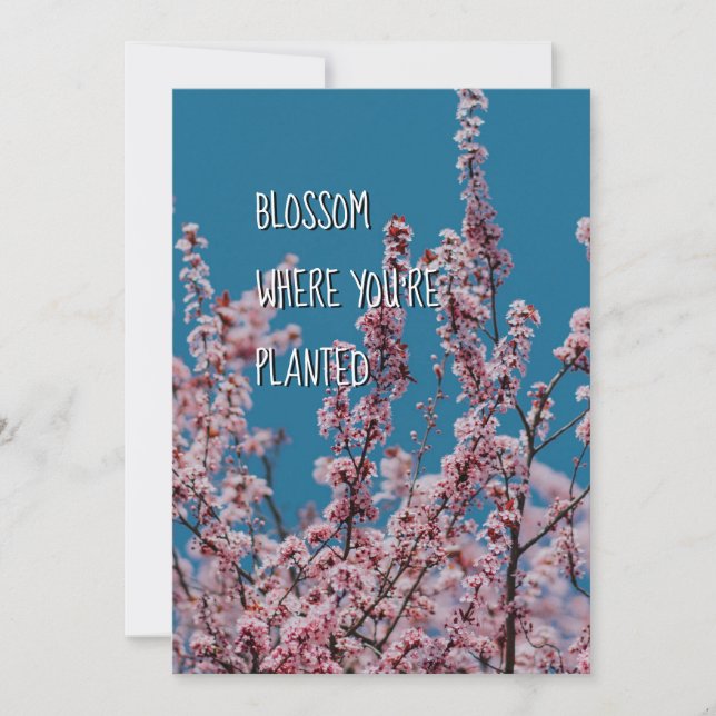 BLOMMAR DÄR PLANERAD | Uppmuntran av kristna (Framsida)