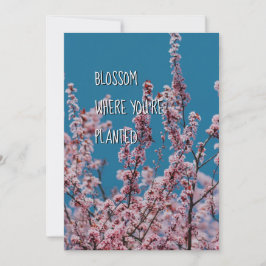 BLOMMAR DÄR PLANERAD | Uppmuntran av kristna