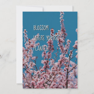 BLOMMAR DÄR PLANERAD Uppmuntran av kristna