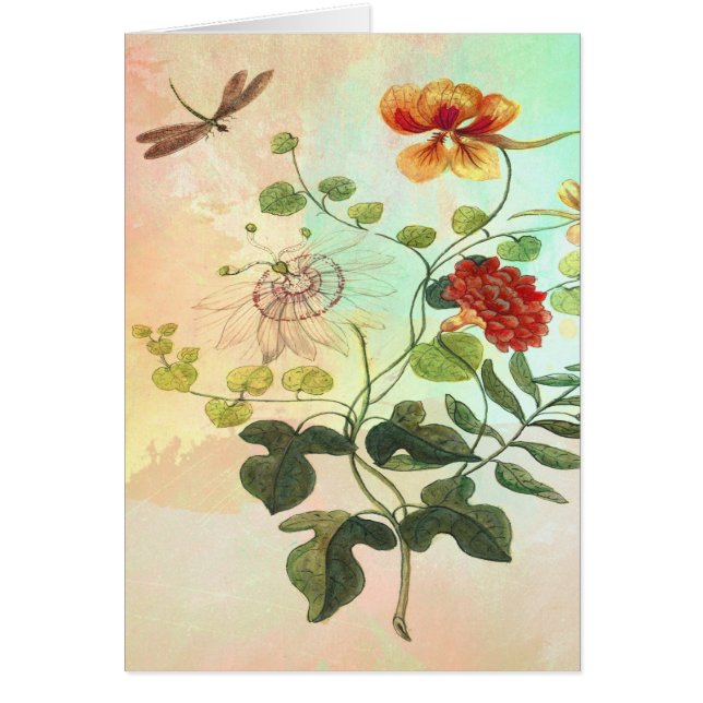 Blommar den blom- botaniska illustrationen för OBS kort (Framsidan)