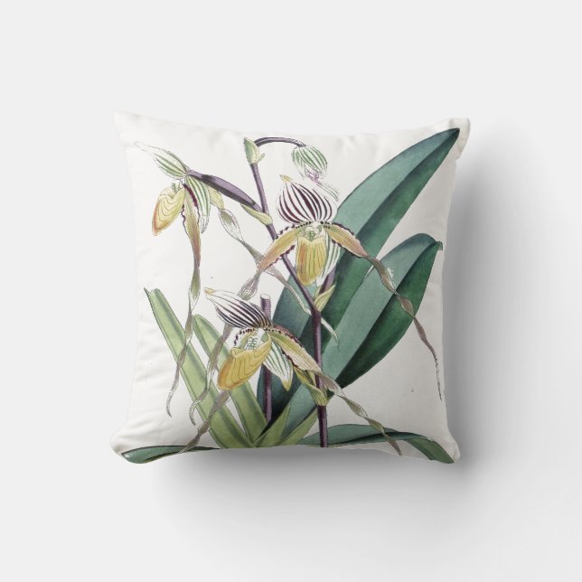 Blommar den botaniska tropiska orchiden för kudde (Framsida)