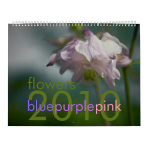 Blommar den purpurfärgade rosan för blått kalen kalender