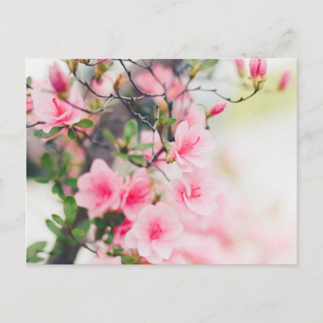 BLOMMAR FLÖDESPOSTCARD VYKORT (Framsida)