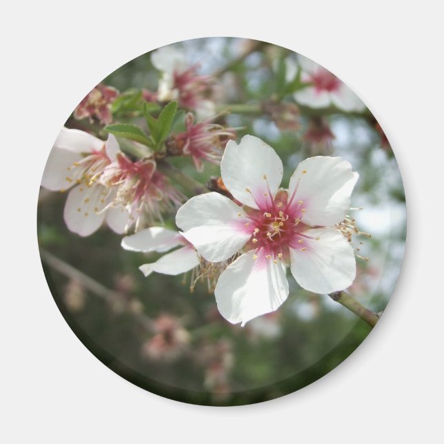 Blommar Flower Magnet (Framsidan)