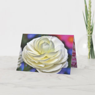 Blommar Flowers Blommigt Destiny's Destiny Tack Kort