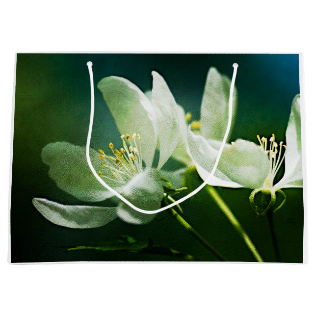 Blommar för äpple - två blommor (Framsidan)