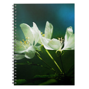 Blommar för äpple - två blommor anteckningsbok