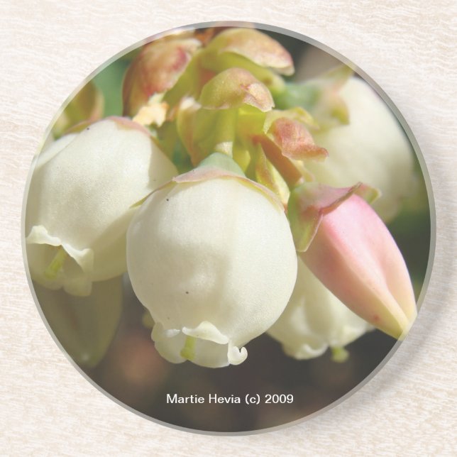 Blommar för blåbär - Underlägg Sandsten (Framsidan)