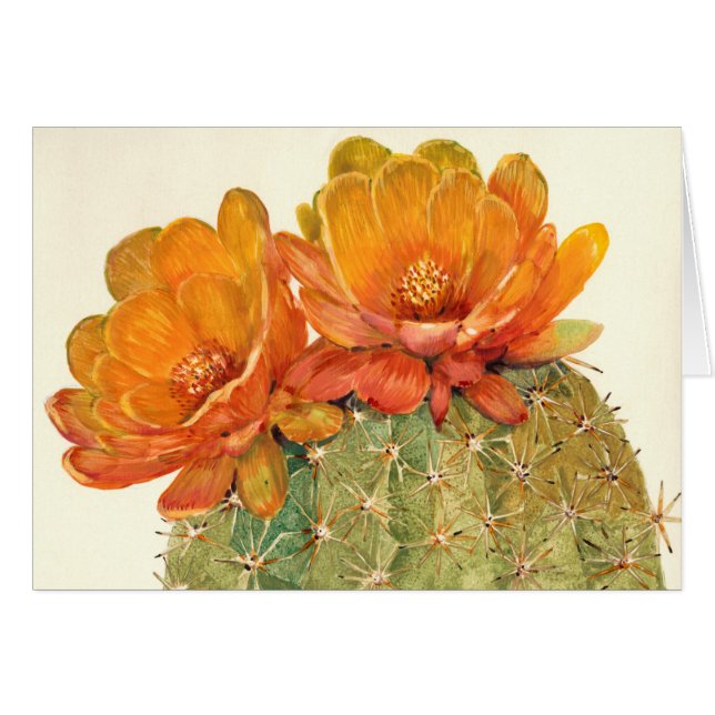 Blommar för Cactus Orange Hälsningskort (Framsidan Horizontal)