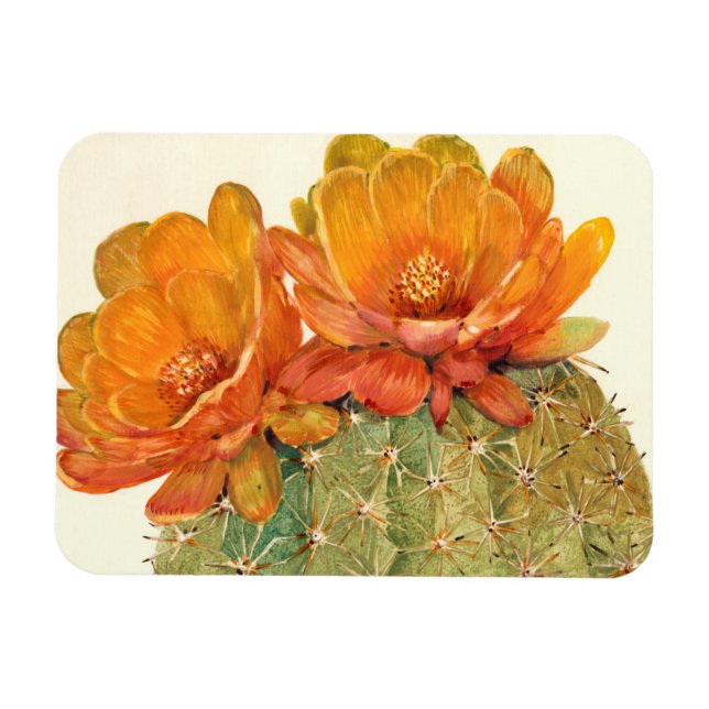 Blommar för Cactus Orange Magnet (Horisontell)