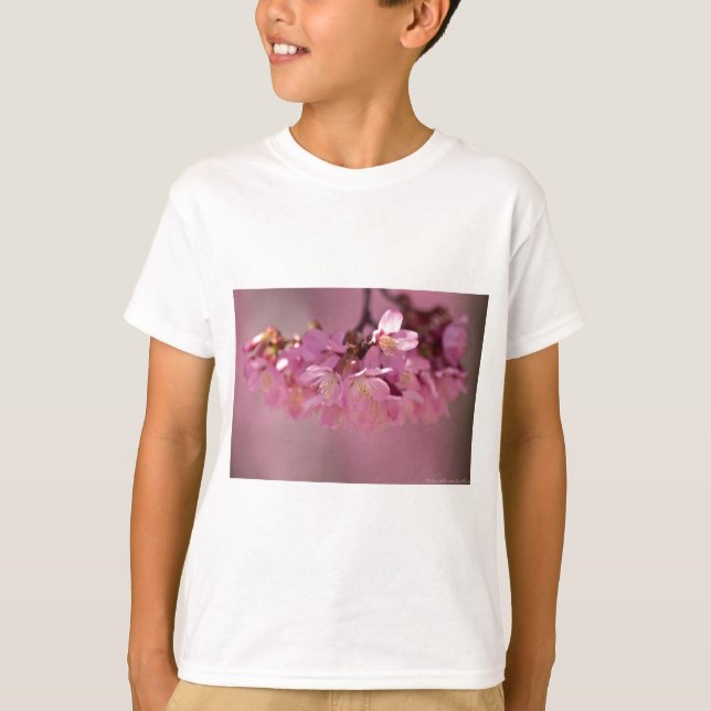 Blommar för körsbär, Hett Vår 2012 Apparel och pre Tee (Framsida)