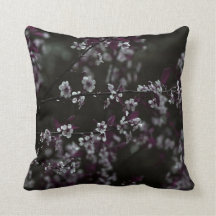 Blommar för körsbär på Mörk Plum