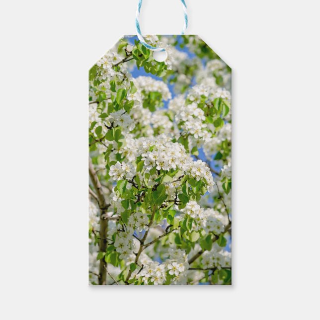 Blommar för krabbäpple presentetikett (Framsidan)