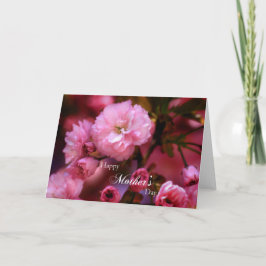 Blommar för mors dag Vår Rosa Cherry Kort