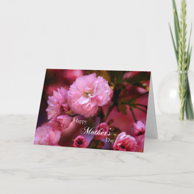 Blommar för mors dag Vår Rosa Cherry Kort (Framsida)
