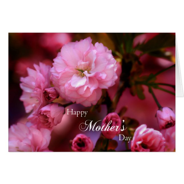 Blommar för mors dag Vår Rosa Cherry OBS Kort (Framsidan Horizontal)