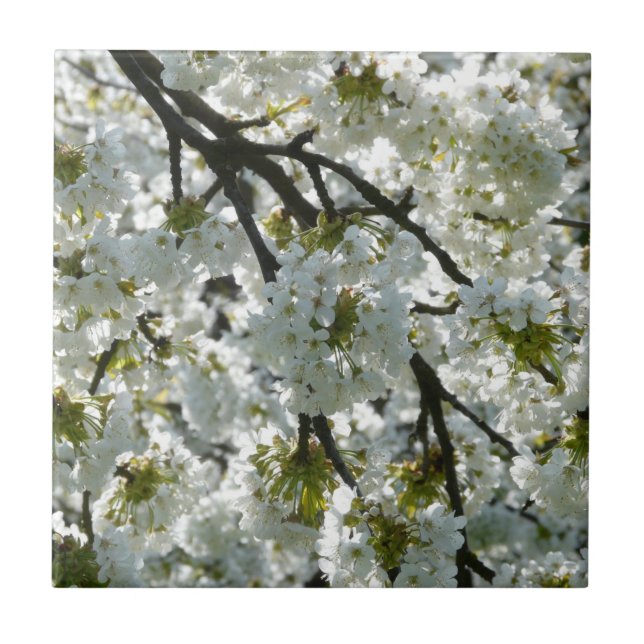 Blommar för naturinspiration kakelplatta (Framsidan)