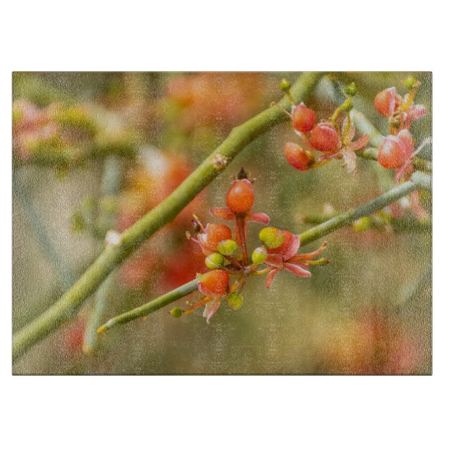 blommar för orange (Framsidan)