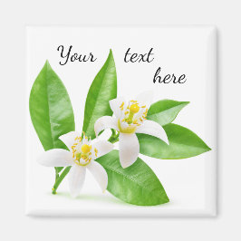 blommar för orange magnet