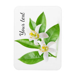 blommar för orange magnet