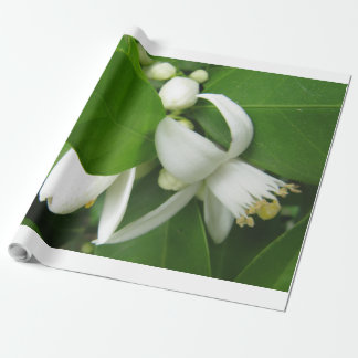 Blommar för orange - radbrytning Papper Presentpapper