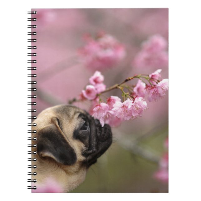 Blommar för Pug Smelling Cherry Anteckningsbok (Framsidan)