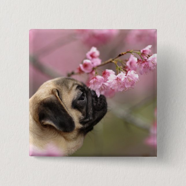 Blommar för Pug Smelling Cherry Knapp (Framsida)