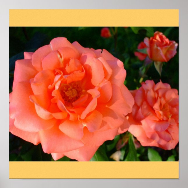 Blommar för ro Garden Mod Chic Classy Blommigt  Poster (Framsidan)