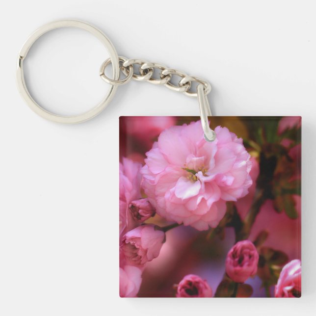 Blommar för Rosa Cherry i Vår (Framsidan)