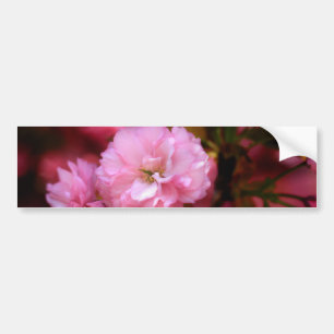 Blommar för Rosa Cherry i Vår Bildekal