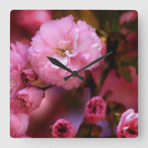 Blommar för Rosa Cherry i Vår Fyrkantig Klocka