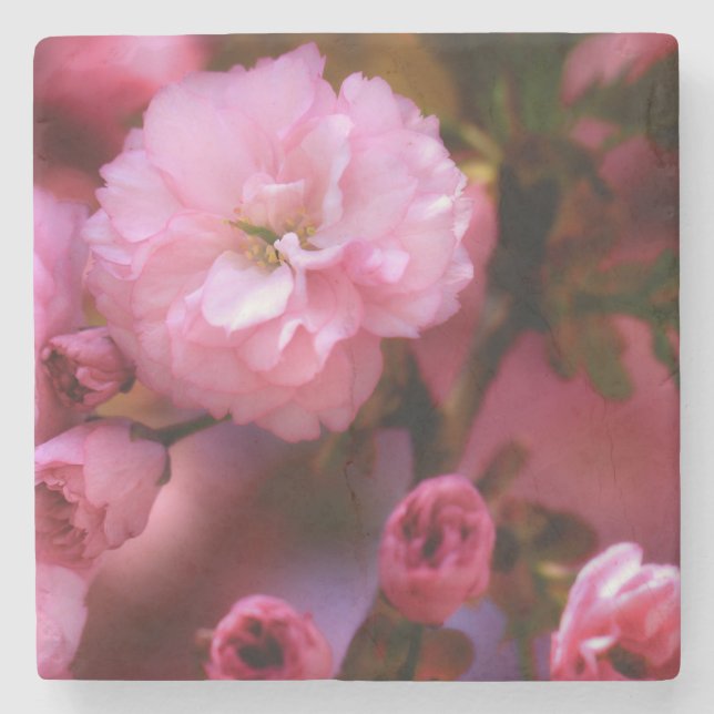 Blommar för Rosa Cherry i Vår Stenunderlägg (Framsidan)