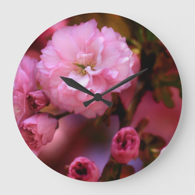 Blommar för Rosa Cherry i Vår Stor Klocka (Framsida)