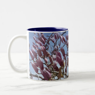 Blommar för tulpanträd-/SaucerMagnolia Två-Tonad Mugg