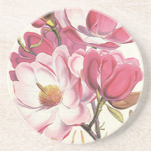 Blommar för vintageMagnoliaträd, Underlägg Sandsten