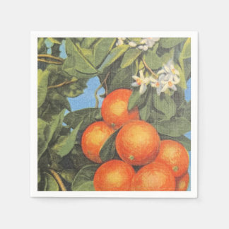 Blommar för vintagens Orange Citrus Pappersservett