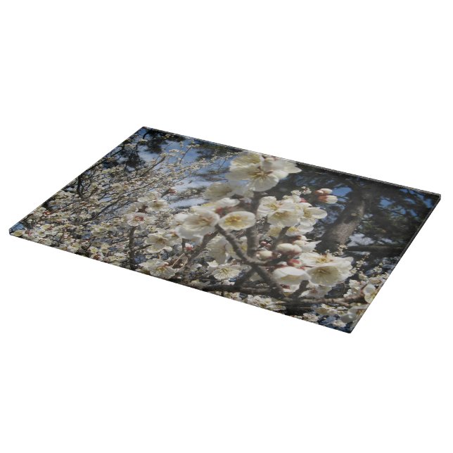 Blommar för vita körsbär/Sakura/サ ク ラ(桜) (Hörn)