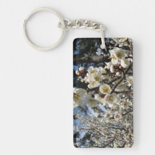 Blommar för vita körsbär/Sakura/サ ク ラ(桜)