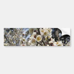 Blommar för vita körsbär/Sakura/サ ク ラ(桜) Bildekal