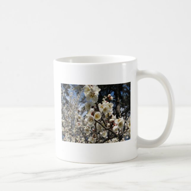 Blommar för vita körsbär/Sakura/サ ク ラ(桜) Kaffemugg (Höger)