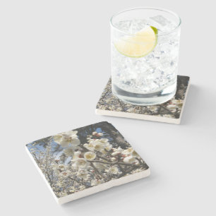 Blommar för vita körsbär/Sakura/サ ク ラ(桜) Stenunderlägg