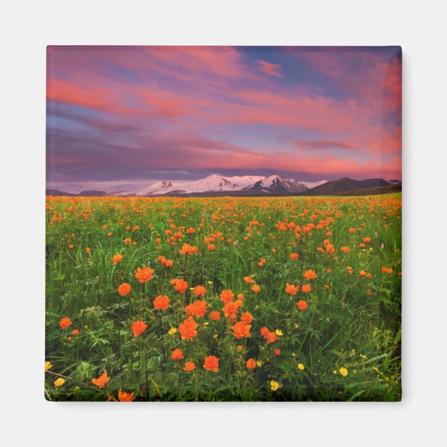 Blommar Globe Flower Magnet (Framsidan)