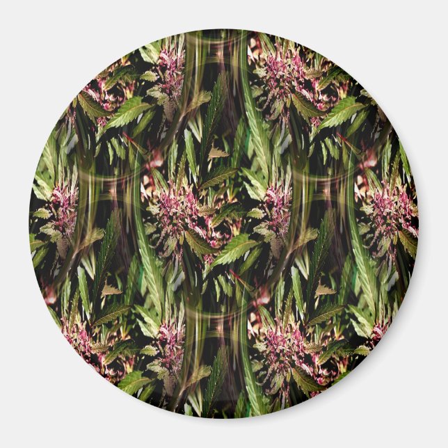 Blommar Grape Ape.... Magnet (Framsidan)