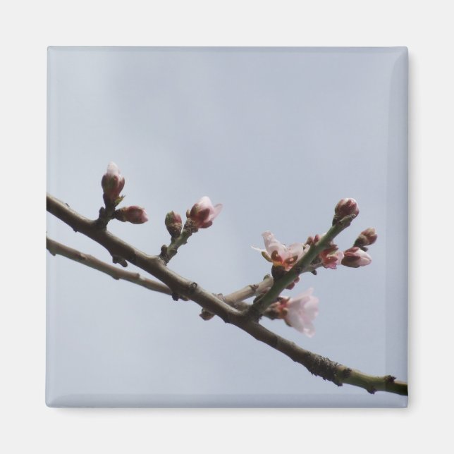 Blommar Gren Magnet (Framsidan)