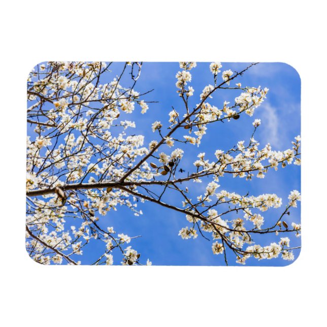 blommar gren magnet (Horisontell)