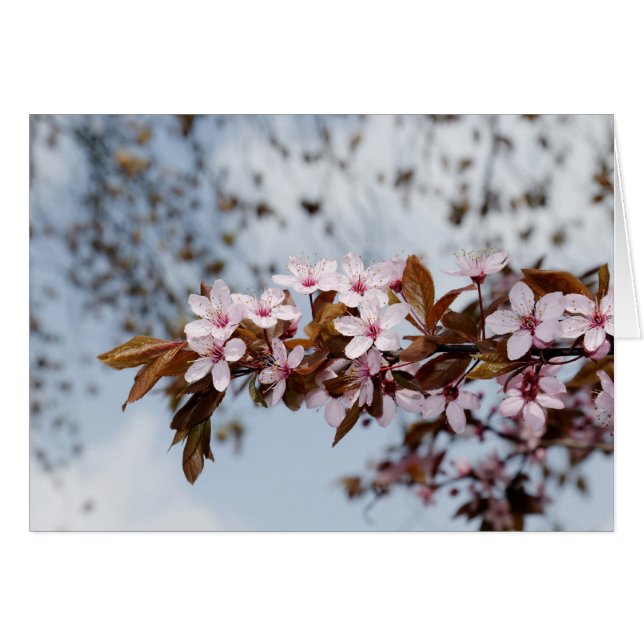 blommar hälsningskort (Framsidan Horizontal)